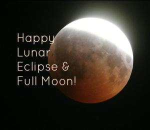 65647_413153988783949_1250047392_n