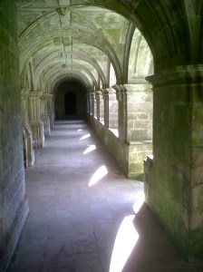 IMG04145-20130317-1529