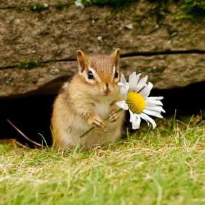 486879_10201299175981840_37286011_n