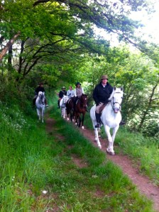 1016152_304811112988330_77190850_n