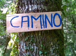 IMG00991-20120715-1245