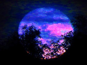 1150931_620660261299304_1249836107_n