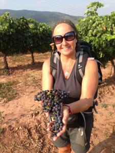 1184867_513440852057952_28365550_n